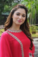 Tamannah at Bengal Tiger Movie Press Meet